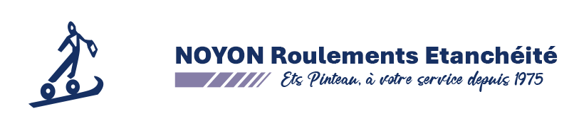 LOGO NOYON ROULEMENTS ÉTANCHEITÉ